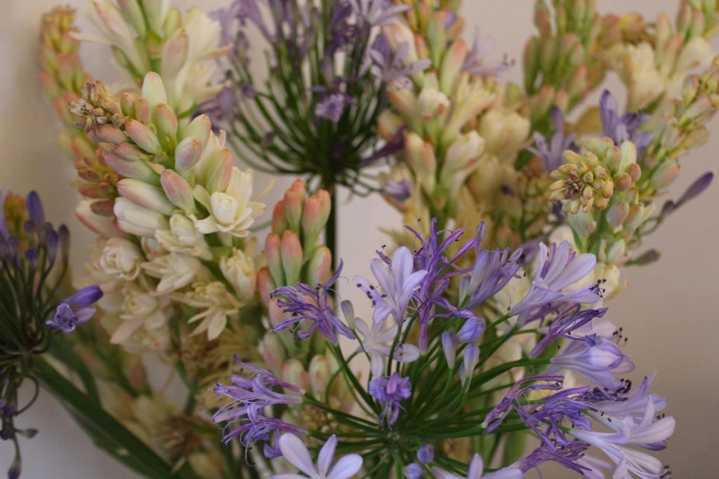 Bed & Breakfast Casa Comtesse